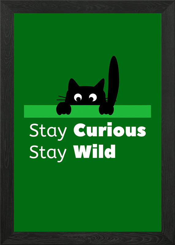 Black Cat Stay Curious Wild Framed Wall Art Poster Canvas Print Picture