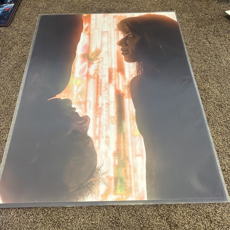 Lost in Translation by Kevin M Wilson Movie Poster Ltd Edition x/75 Mondo Print gallery