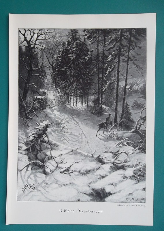 WINTER FORESTS Snowy December Moonlit Lonely Deer – 1892 Victorian Era Print