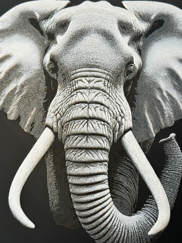 Majestic Gaze 3d Image - Up to 12 inch - Multiple Versions -Wall Hanger Included gallery