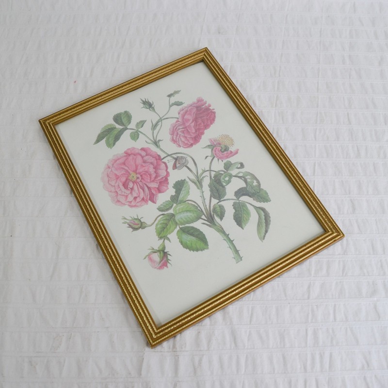 Vintage Retro 50s Print Pink Roses Flowers Framed Kitsch Picture Gold Frame