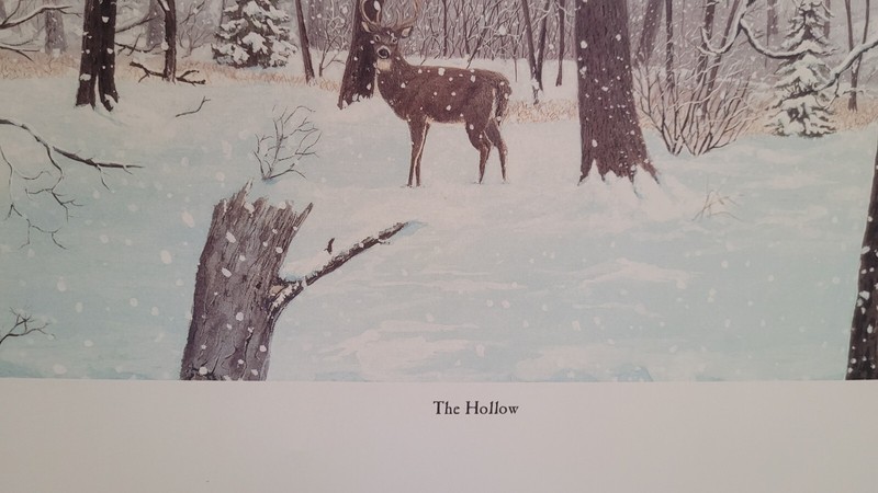 Beautiful "The Hollow" Print By Marvin Hill signed & Numbered 12 X 24 gallery