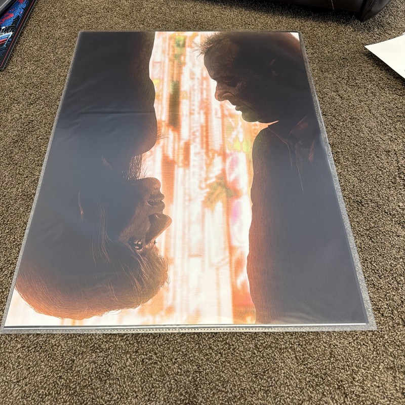 Lost in Translation by Kevin M Wilson Movie Poster Ltd Edition x/75 Mondo Print