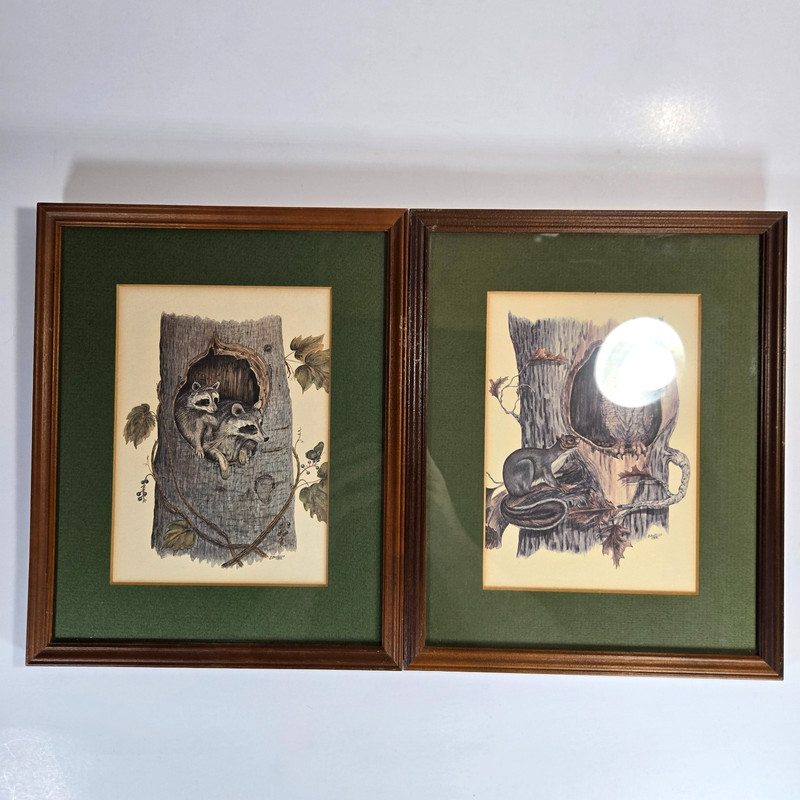 Signed E.D. Williams WIldlife Wall Art Set of 2 Raccoons Squirrel Owl 8×10 Frame
