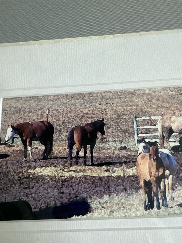 Enhanced over Original Horses in Corral Photo by Kay Murphy Unframed gallery