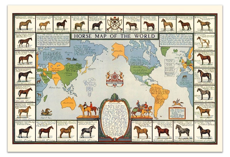 Horse Map of the World Poster - Vintage Equestrian Chart - Global Horse Breeds