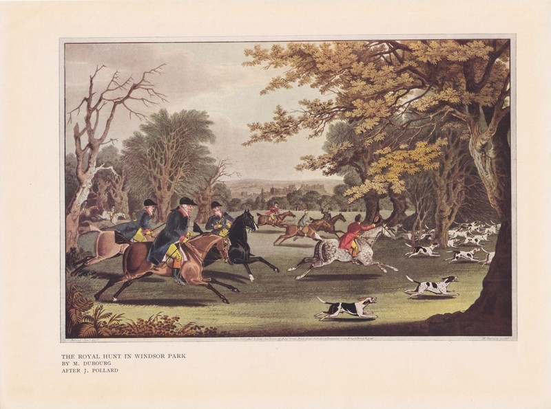 Fox Hunting Foxhound Dogs Equestrian Horse Antique Color Art Print 1927