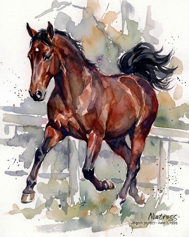 Horse Racing «Niatross» W/C art print. Free Shipping 0417