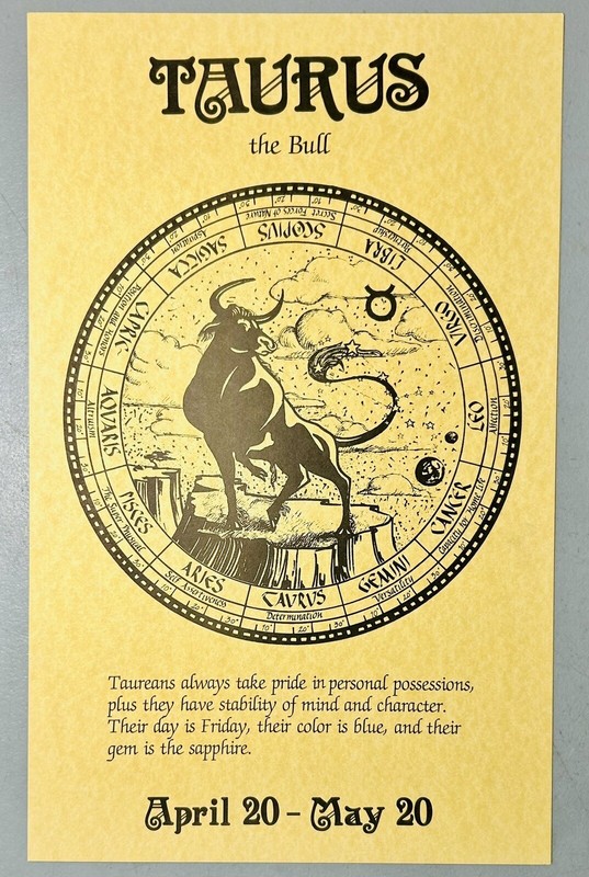 Vintage 1970s Taurus The Bull Zodiac Astrology Original Art Print 16x10 Cosmic C