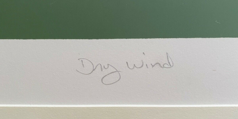 Lorna Massie Signed AP Print “Dry Wind” 36x25 Framed & Matted Artist Edition gallery