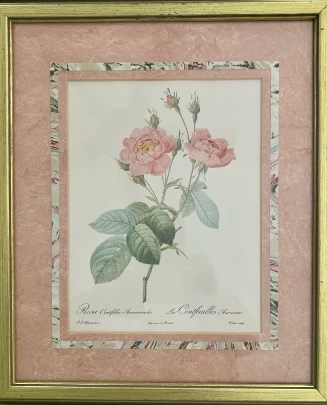 Set Of 3 Floral Botanical Prints By PJ Redoute. Roses. Professionally Framed. gallery