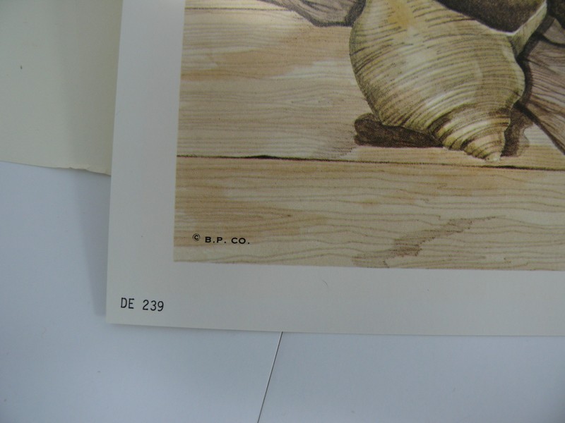 Nautical Beach Still Life Vintage 1978 Signed Lithograph by Artist Frank Massa gallery