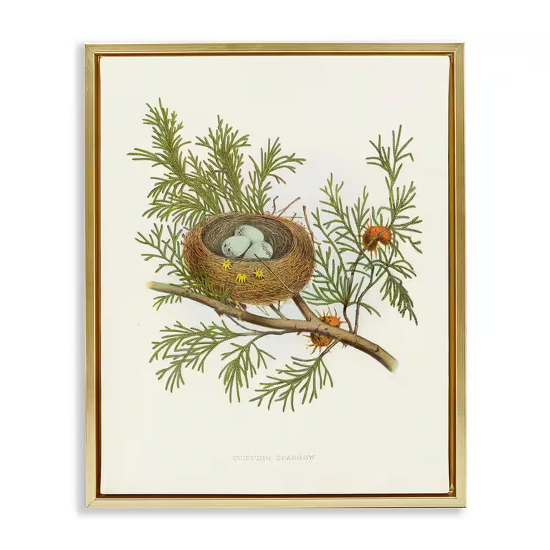 Forest Bird Nest on Branch by Tina Higgins Designs, Inc. Gold Floater Frame Natu