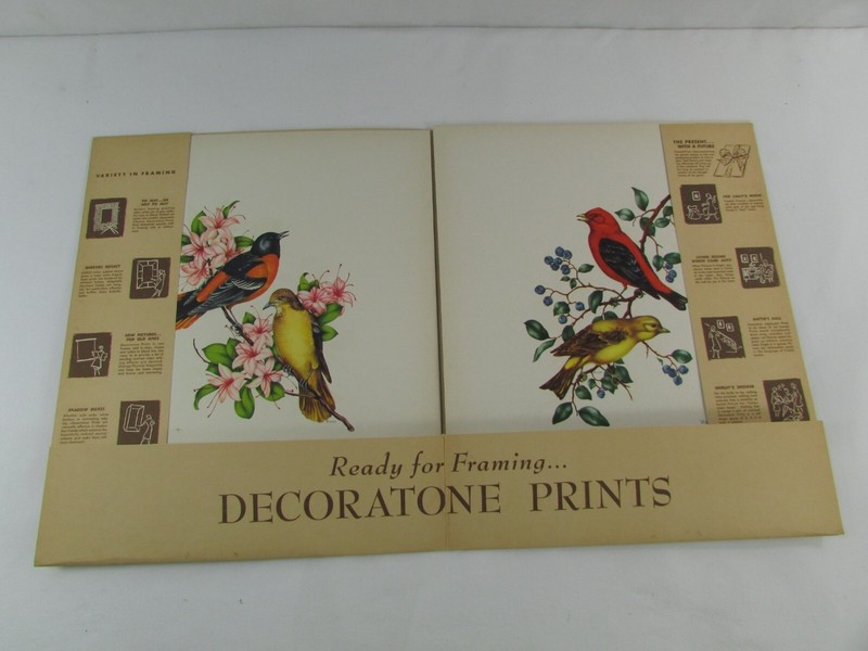 Set of (6) Vintage Bird Lithographs by Vincent, Original 1950's Art Prints USA gallery