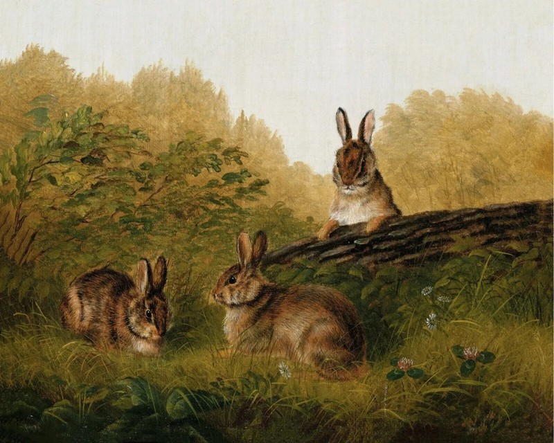 Vintage Bunny Rabbits in the Grass Painting Reproduction Print on Fine Art Paper