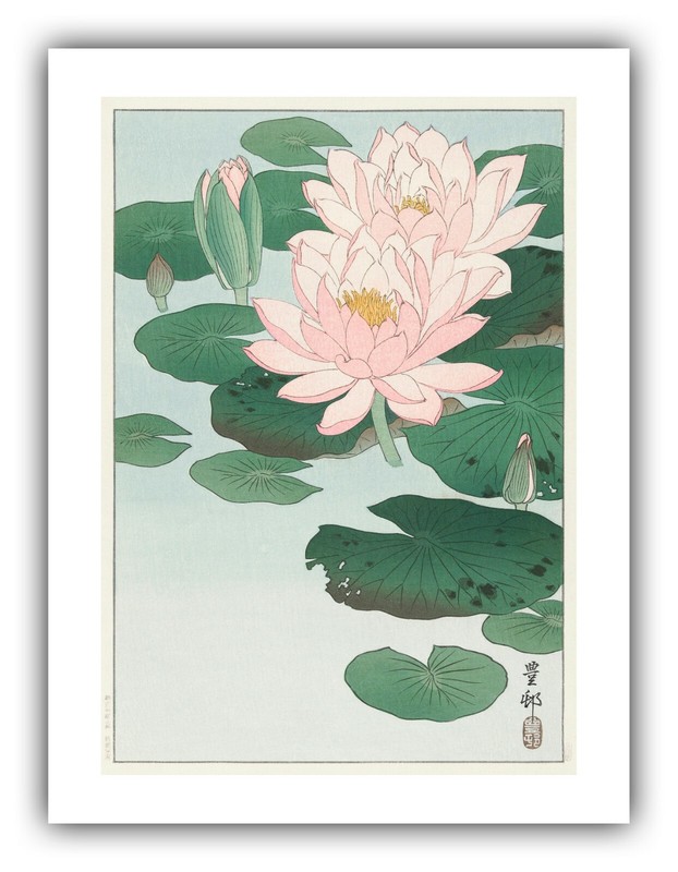 Ohara Koson : «Water Lily» (1920-1930) — Giclee Fine Art Print