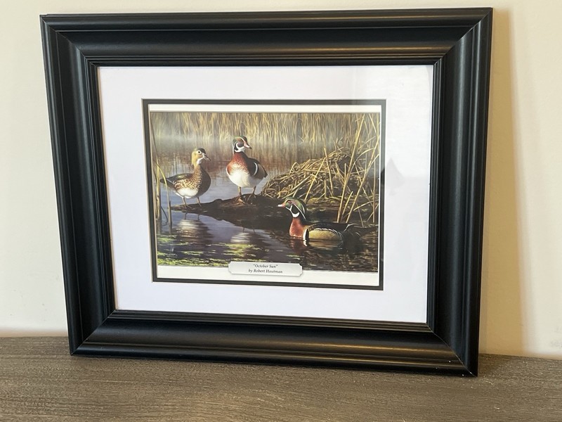 Ducks Framed Print Picture Wall Art 17”x15” Black Robert Hautman “October Sun”