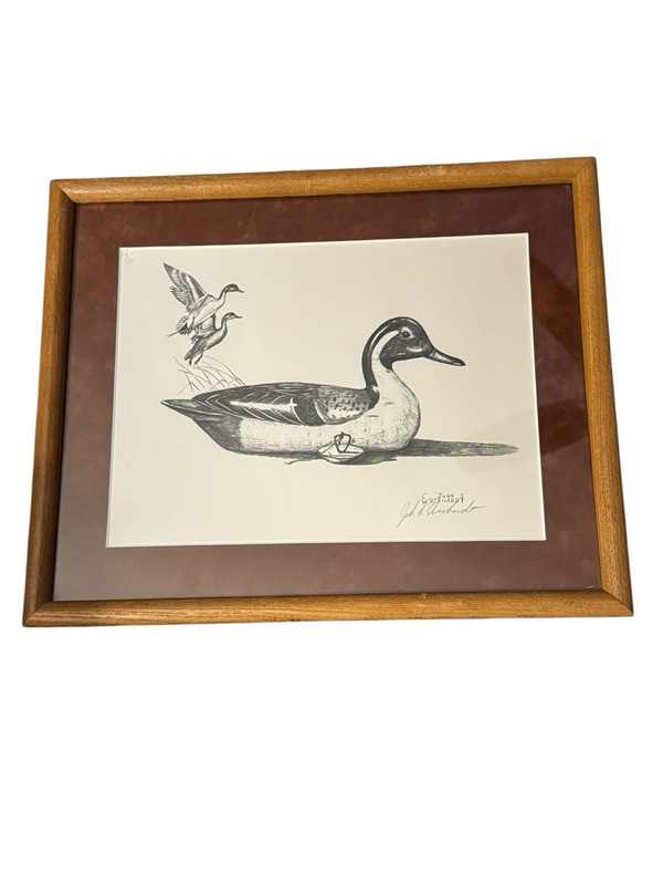 John S. Eberhardt Signed Print Pintail Duck Wildlife Art Framed Waterfowl (Bin)