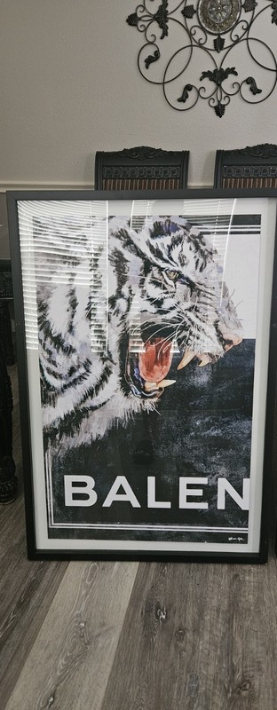 Oliver Gal Tiger Canvas Wall Art Black and White Floating Frame 27x35 gallery