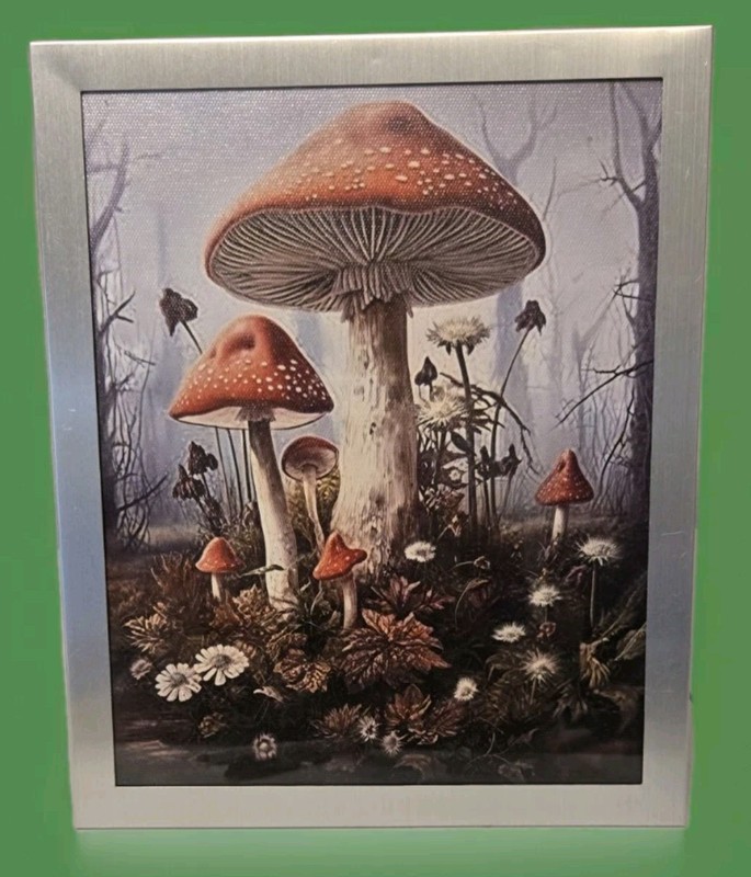 Framed Mushroom Print On Canvas Cloth 8×10 SEE PICS Silver Tone Dark Cottagecore