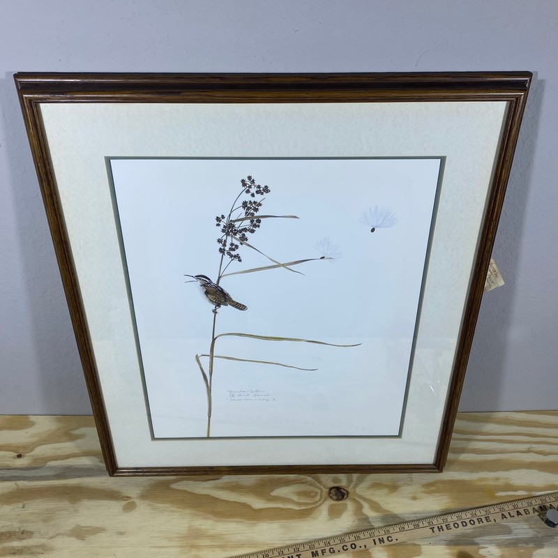 Brenda Carter Marsh Wren & Sedge Hand-Colored Print 43/195 Framed 24×27.5 Bird