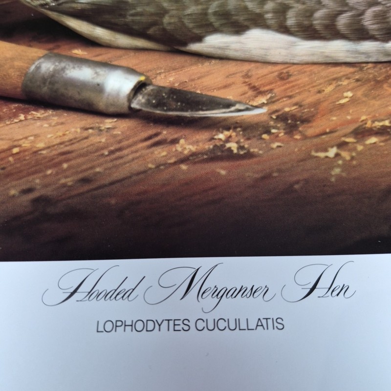 6 Al Ponte Signed Bird Prints 300/1000 Federal-Mogul 1984 Limited Portfolio Set gallery