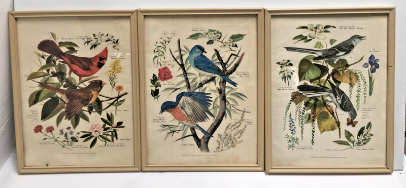 Arthur Singer Bird Prints #1, 2 & 4 of 5 Series Cardinal Mockingbird Bluebird