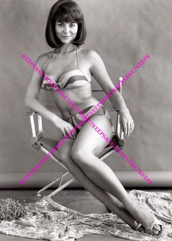 1950s-1970s BRITISH ACTRESS ANN HEYWOOD LEGGY IN A BATHING SUIT 5×7 PHOTO BA-AHE