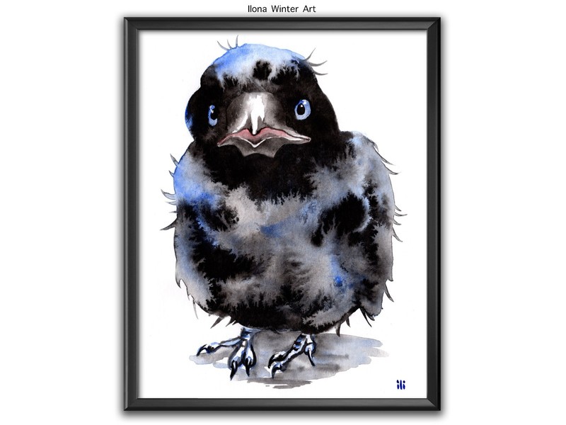 Personalised Watercolor Crow Chick «Sweet Baby1» Painting Print by Ilona Winter