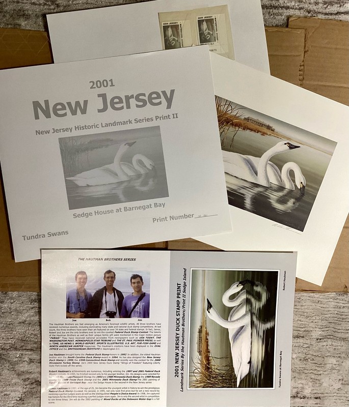 2001 Sedge House Tundra Swans at Barnegat Bay, Robert Hautman