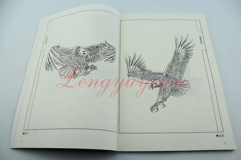 Chinese Ink Painting Hawk Eagle Red-Crowned Cran Outline Sketch Tattoo Book gallery