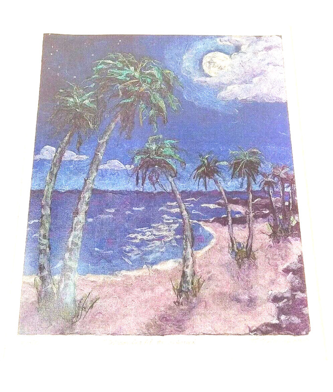 LE Laser Art Print Kauai Hawaii Number & Signed Kauai Sunset Beach Palms 16×14