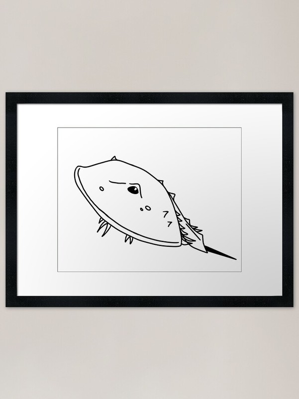 Horseshoe Crab filled Framed Art Pr Framed Wall Art Poster Canvas Print Picture