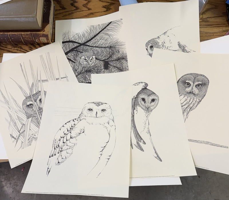 1971 set line drawings Peter Parnall owls from the book The Nightwatchers NEW
