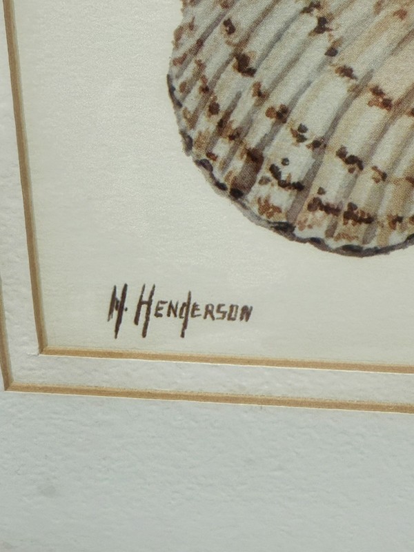 H. Henderson Lithograph Sea Shells Custom Framed 10”x8” Print Nautical Sea #1 gallery