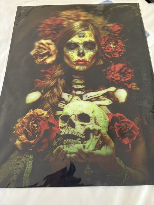Gothic Girl Skull Roses Skeleton Lenticular 3-D Picture Large 16×12 inches New