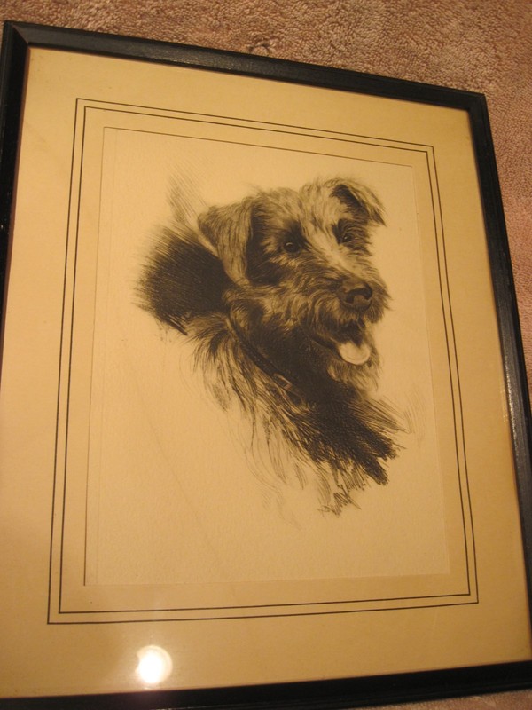 Fun Etching in the 1930’s of a Happy Terrier Dog – Attributed to Dennis Morgan
