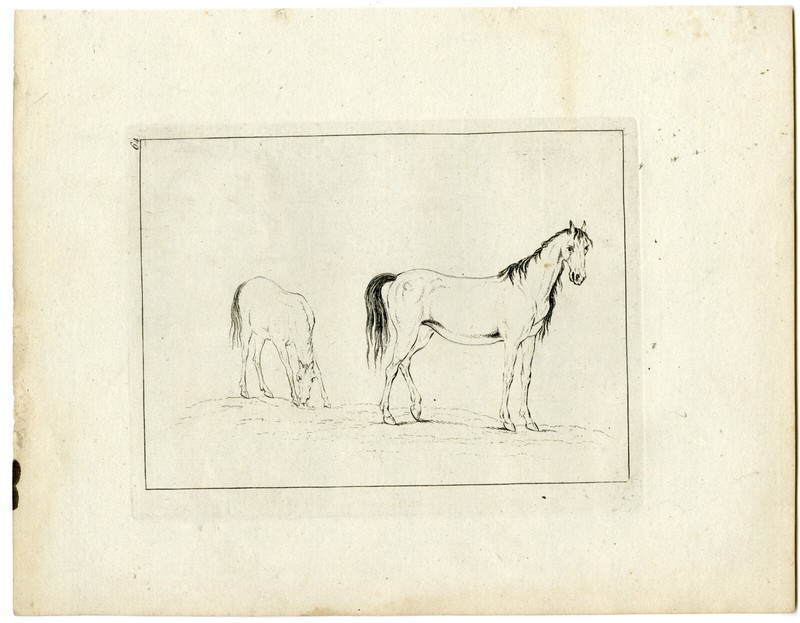 2-Antique Master Prints-DRAWING-EXAMPLE-HORSE-MARE-FOAL-Ravenet-Tillemans-1762