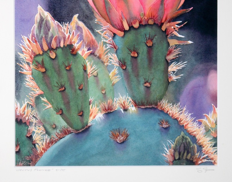 Cactus Flower Print Steve Stento Arizona Custom Frame 18x20 gallery