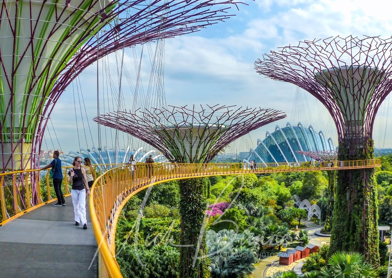 Wall Art «Skywalk, Garderns by the bay» Singapore A4 Print