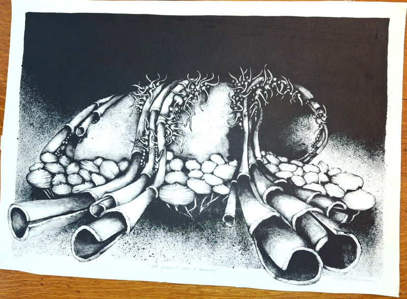 Surrealism Fine Art Lithograph 10/10 Signed Hand Pulled Stone Print COA 19″x27″