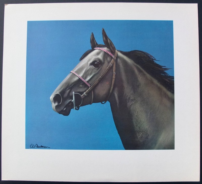 "Grey, Bay And Chestnut" By C.W. Anderson 1955 Portfolio Of 10 Horse Prints gallery
