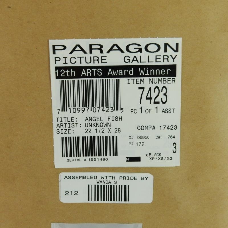 Paragon Picture Gallery Angel Fish Framed Art Print 18x12 Award Winner gallery