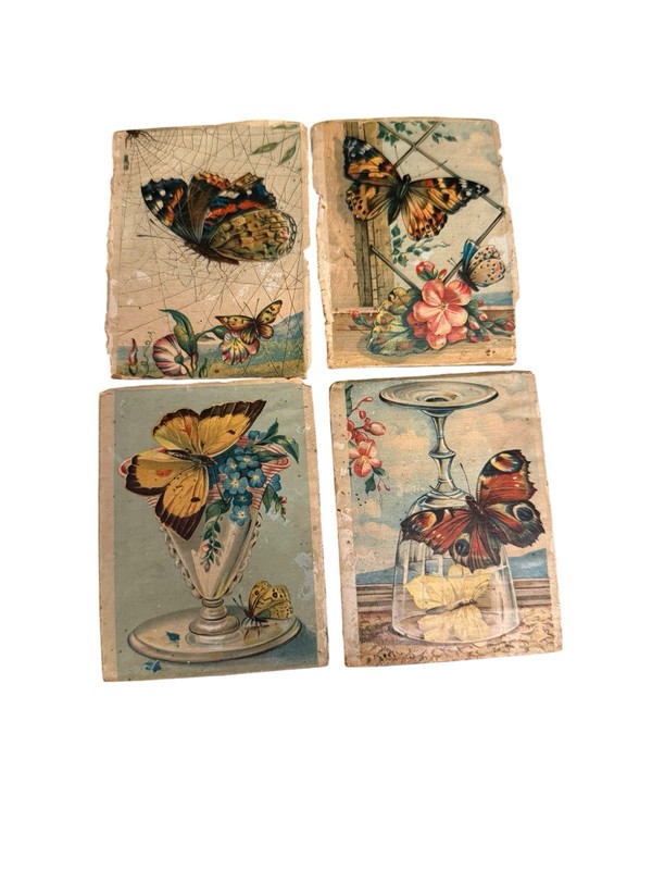 4 Antique Victorian Butterfly Chromolithograph Wood Panels c1880s Graphics