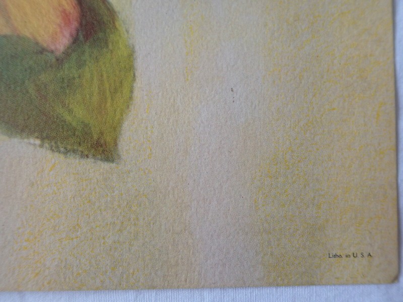 VINTAGE RF HARNETT ROBIN BIRDS LITHOGRAPH WALL ART PRINT KAPLAN CO 36" x 12" gallery