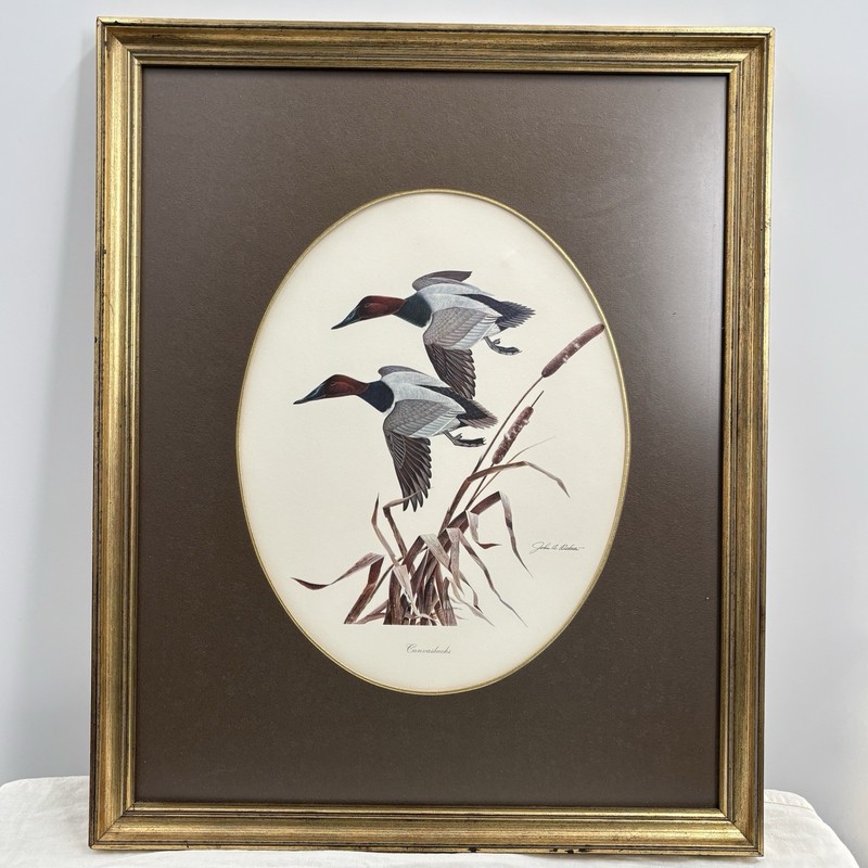 John A Ruthven Canvasbacks Framed Wildlife Print Ducks Waterfowl Sporting Art gallery