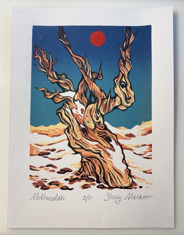 “Methuselah” – Original Artwork – Linocut Print
