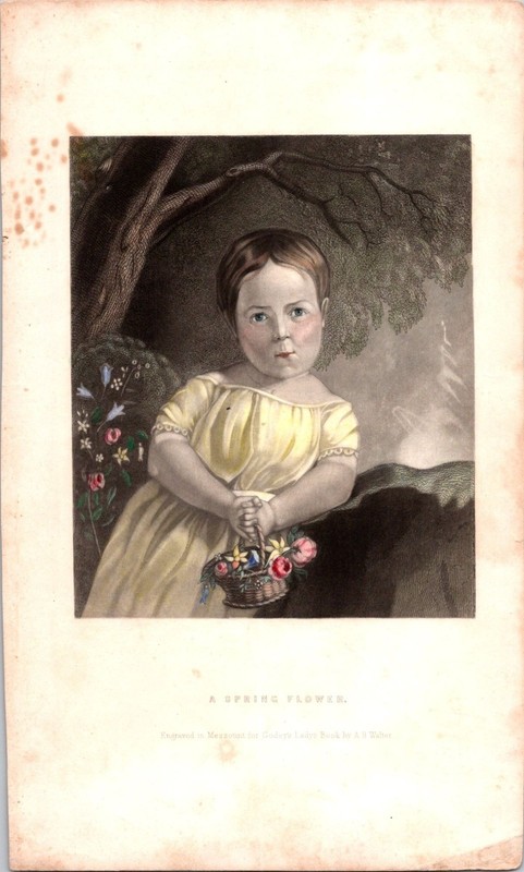 Antique 1850s Hand-Colored Mezzotint Print «A Spring Flower» by A.B. Walter