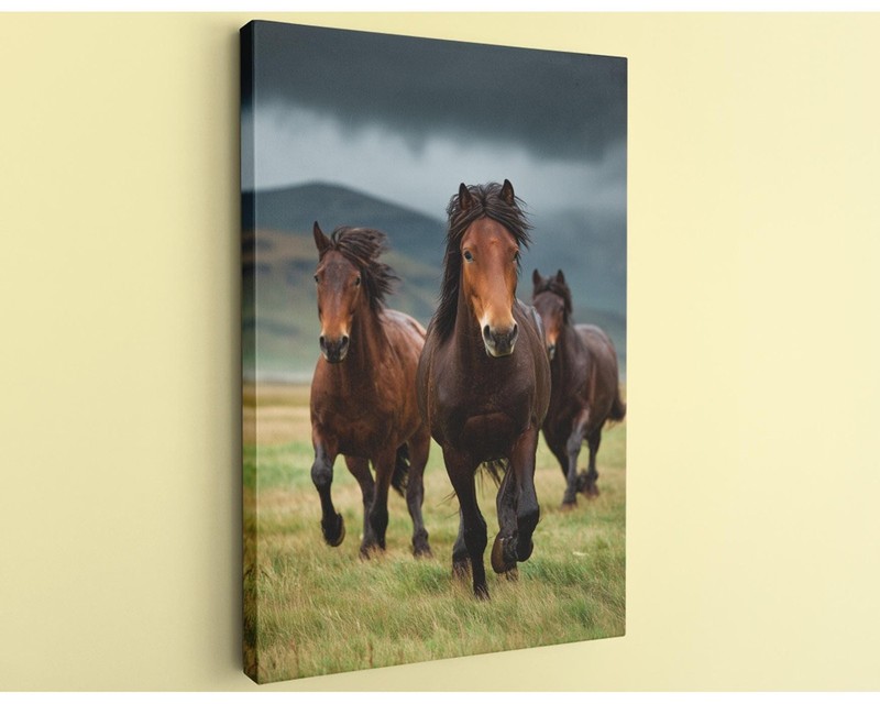 Running Horses Canvas Print Wild Brown Stallions Rustic Farmhouse Wall Art