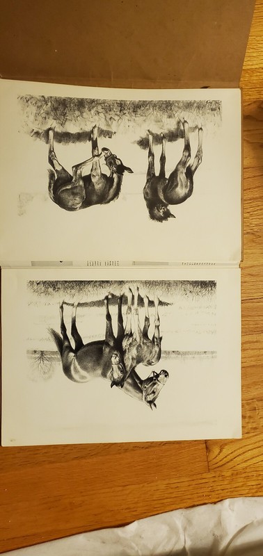 C.W. Anderson vintage bred to run horse prints 1960 gallery